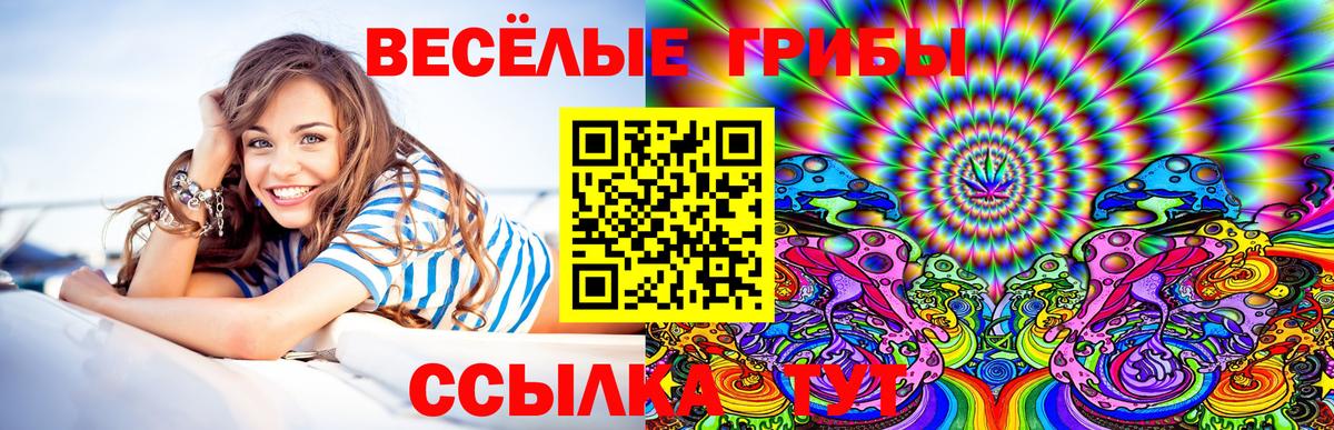 Галлюциногенные грибы Psilocybine cubensis  Галлюциногенные грибы Magic Shrooms  Кувандык  наркота  Вход с VPN 